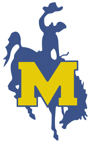 McNeese State Cowboys 1987-2003 Primary Logo diy iron on heat transfer